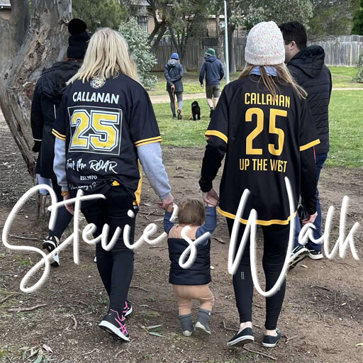 Donate to Stevie's Walk - Image 3