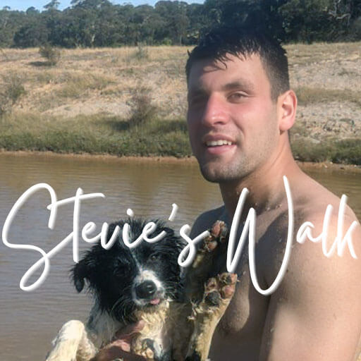Donate to Stevie's Walk - Image 2